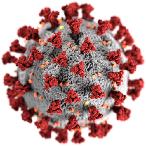 SARS-CoV-2 illustration